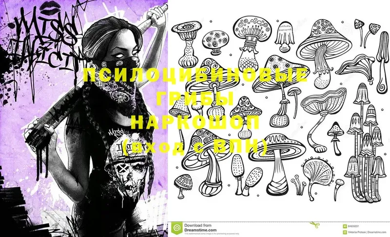 Галлюциногенные грибы Magic Shrooms  Лесной 